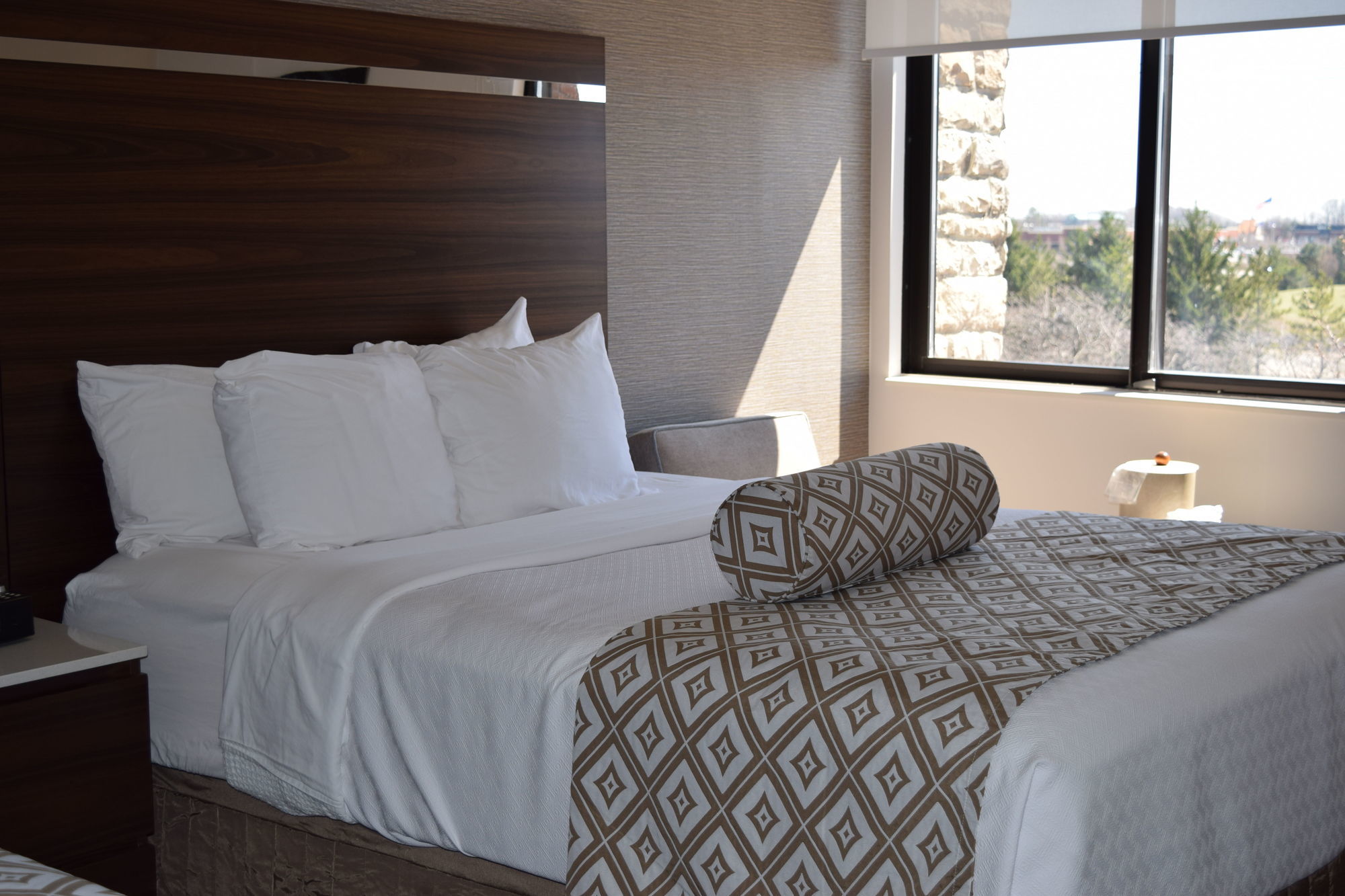 Four Points By Sheraton Detroit Novi Room photo
